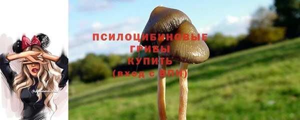 бошки Ельня