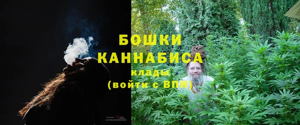 бошки Ельня