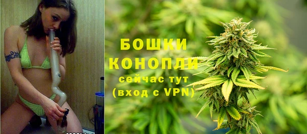 альфа пвп Заводоуковск