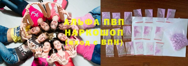 альфа пвп Заводоуковск