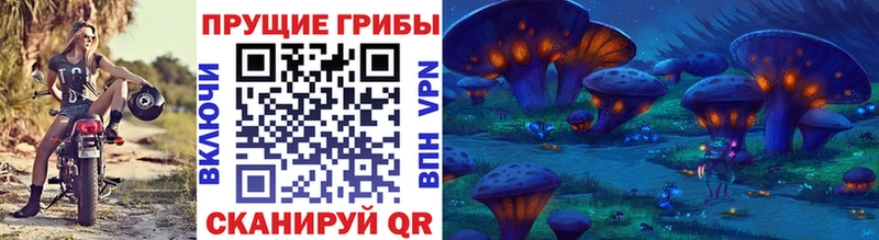 Купить где Называевск Псилоцибиновые грибы GOLDEN TEACHER
